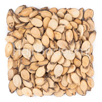 تخمه کلاله هندوانه محبوبی خام