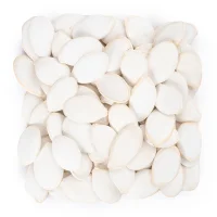 تخمه کدو مرمری خام درجه یک