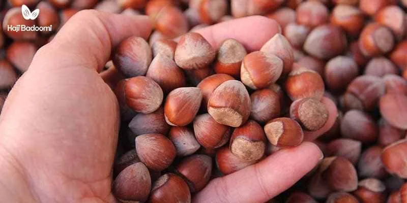 تفت داده شده یا خام؟