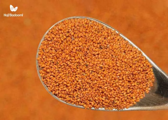 خرید خاکشیر ارزان: خاکشیر چه مزایایی برای پوست صورت ما دارد؟