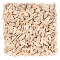 مغز تخمه آفتابگردان شور درجه یک