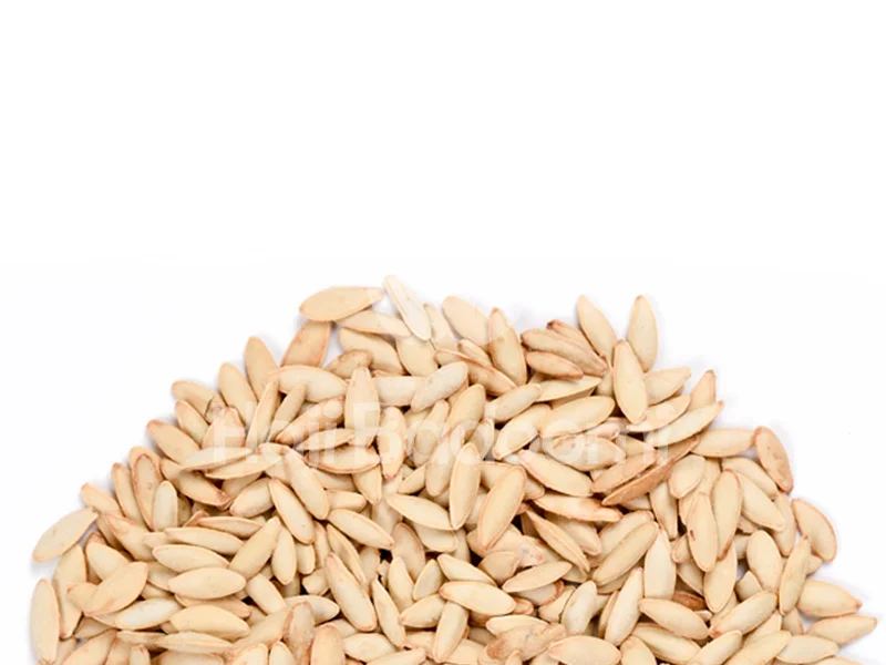 خرید تخمه کدو مشهدی شور اعلا از حاجی بادومی