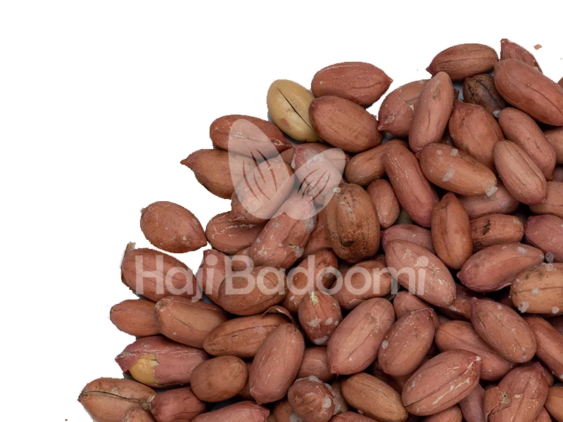 بهترین جا برای خرید بادام زمینی آستانه شور درشت