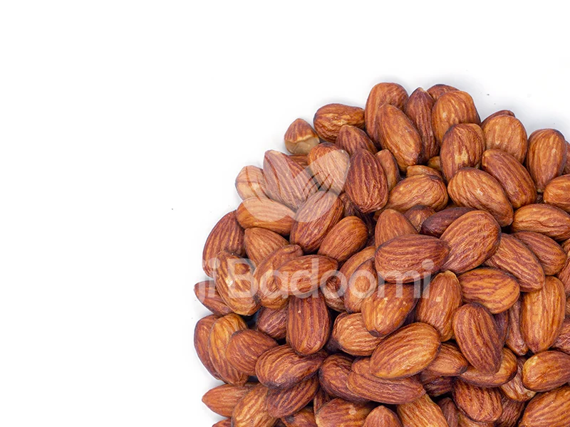 بهترین مکان برای خرید مغز بادام خارجی شور درشت و اعلا