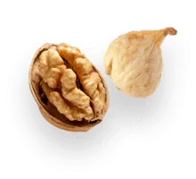 انواع خشکبار