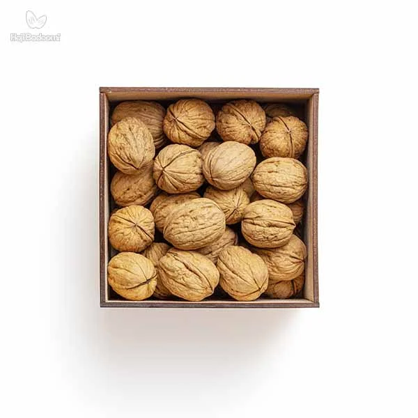 ردو غنی از آنتیاکسیدانها