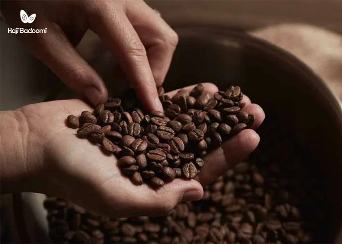 خرید قهوه فوری: انواع دانه قهوه چیست؟