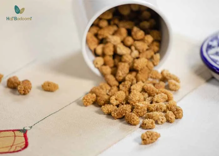 خاصیت توت خشک در وزن گیری جنین