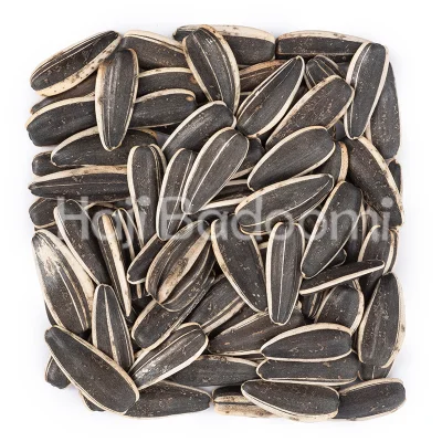 تخمه آفتابگردان دور سفید خام