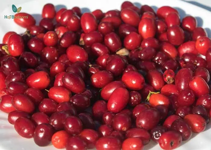 انواع میوه خشک: 6. زغال اخته خشک