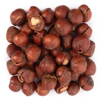 فندق ایرانی با پوست شور