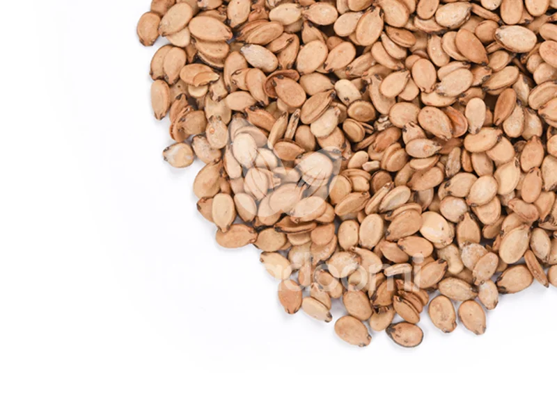 تخمه محبوبی خام اعلا