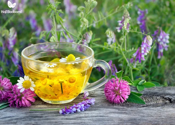 قیمت دمنوش بادرنجبویه