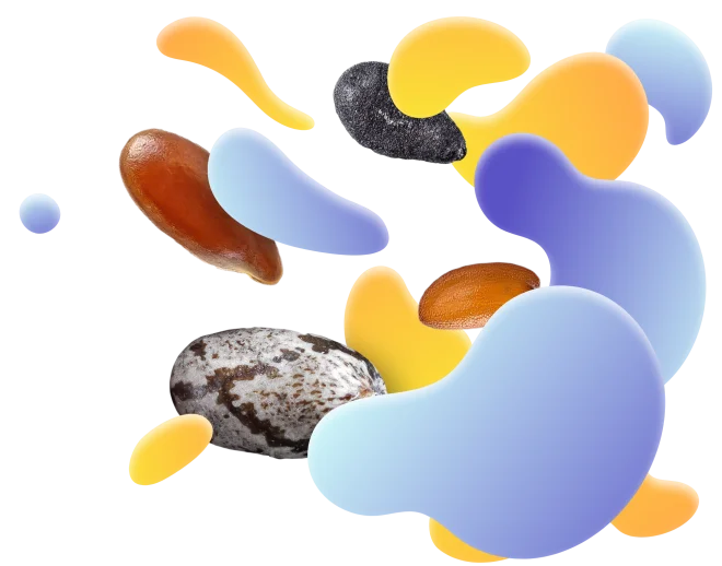 دانه‌های خوراکی