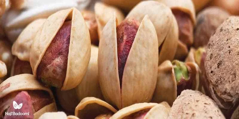 علت نامگذاری و ویژگیهای ظاهری پسته کله قوچی