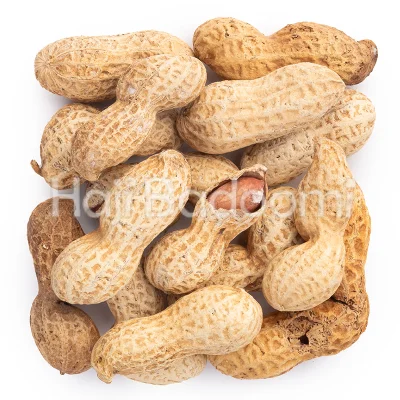 بادام زمینی با پوست خام درجه یک