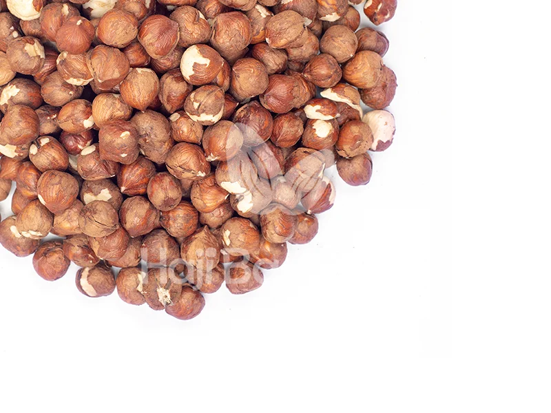 خواص مغز فندق ایرانی خام اعلا سرشار از ویتامین ها و مواد مغذی