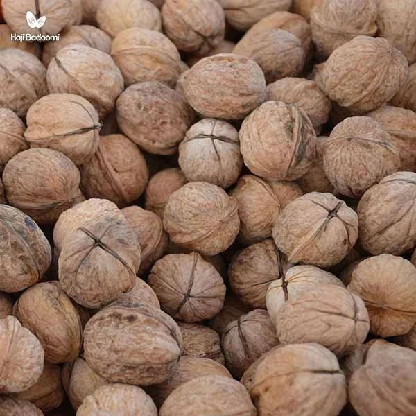 ذخیره و نگهداری گردو