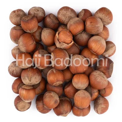 فندق ایرانی با پوست خام