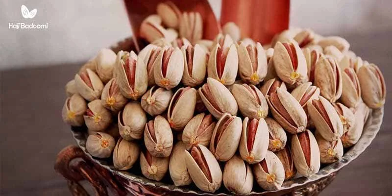 خصوصیات درخت پسته اکبری