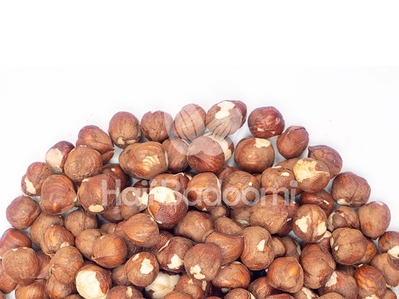 خرید اینترنتی مغز فندق ایرانی خام اعلا از حاجی بادومی