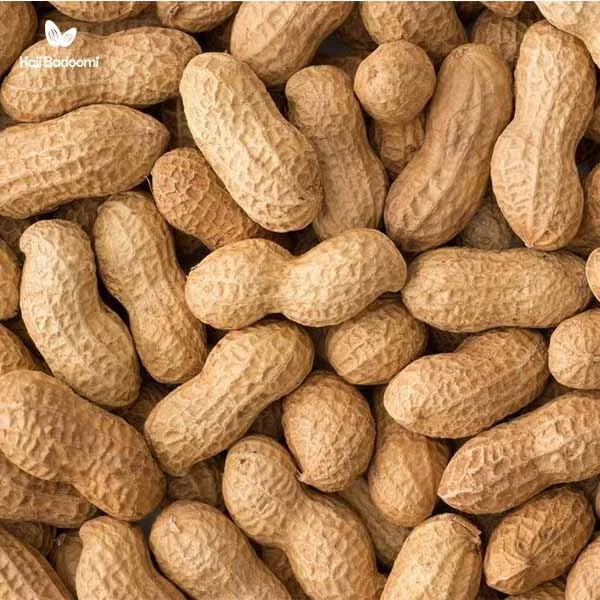 خواص بادام زمینی برای سلامتی