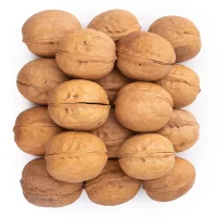 گردو پوست کاغذی درجه یک