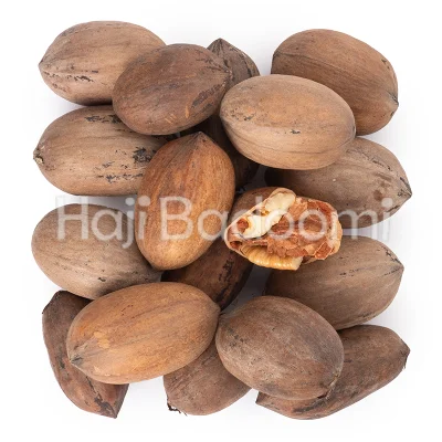 گردو پکان با پوست درجه یک