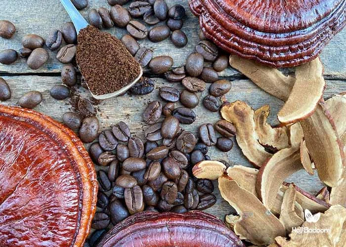 خرید قهوه آنلاین: قهوه گانودرما میتواند خواص مفیدی برای سلامتی بدن انسان داشته باشد