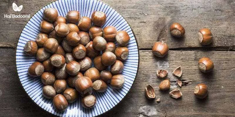 فواید فندق برای سلامتی بدن