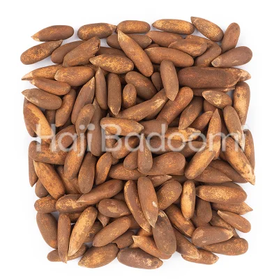 چلغوز خام با پوست درجه یک