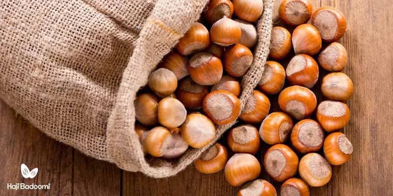 فواید فندق برای پوست و مو