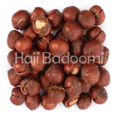 فندق ایرانی با پوست شور