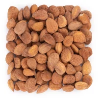 هسته زردآلو شور